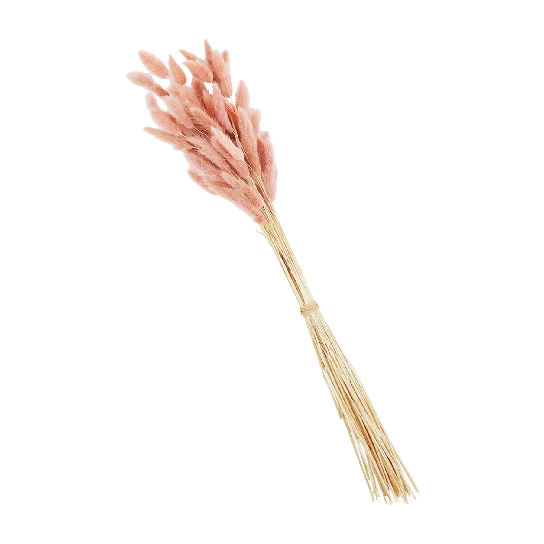 Pink Bunny Tail Grass Bundle Main image