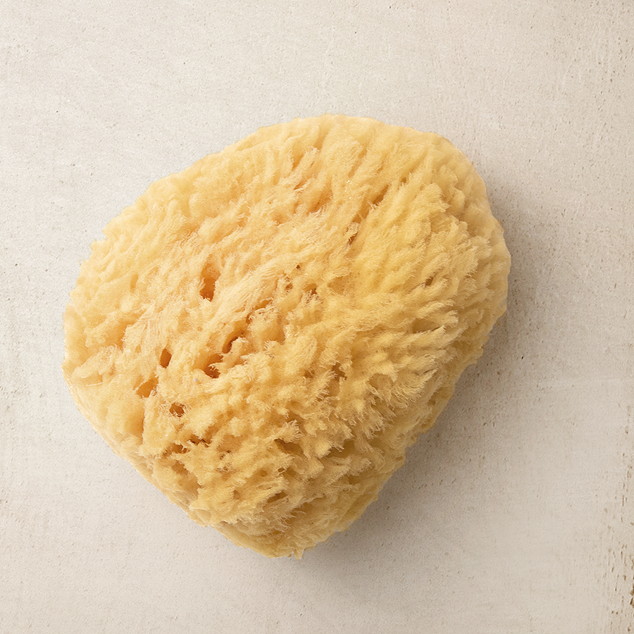 Natural Sea Sponges Main image